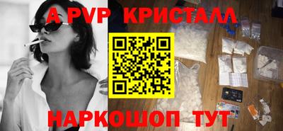 кокс Кингисепп