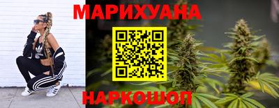 кокс Кингисепп