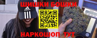 кокс Кингисепп