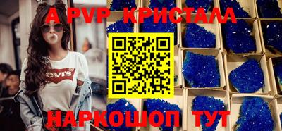 кокс Кингисепп