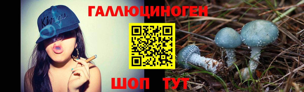 Псилоцибиновые грибы GOLDEN TEACHER Сургут