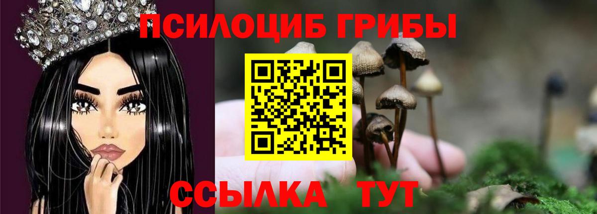 магазин    Галлюциногенные грибы Magic Shrooms  Сургут  Галлюциногенные грибы Cubensis 