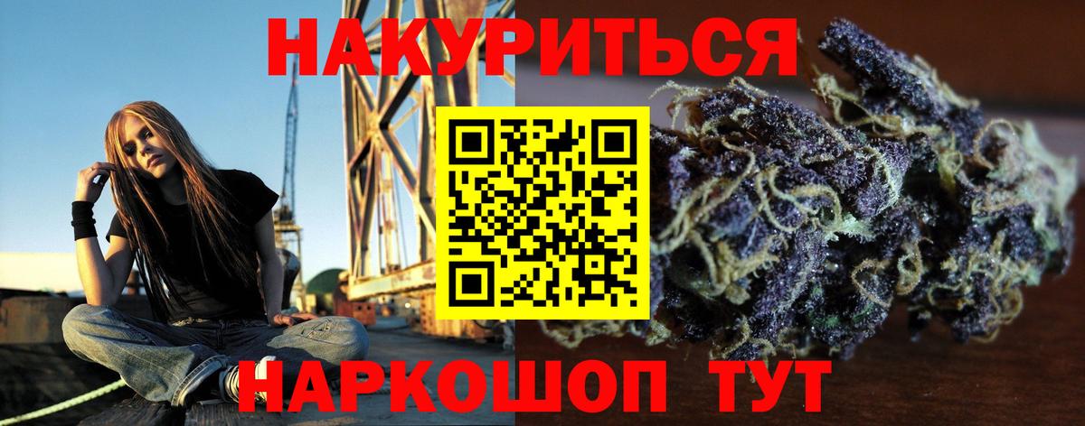 Каннабис сатива Сургут